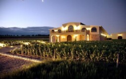 Vino argentino