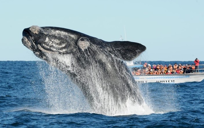 Chubut - Puerto Madryn