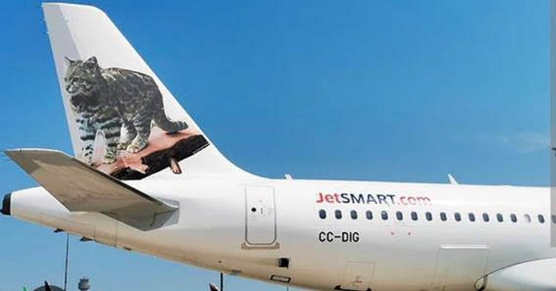 JetSMART