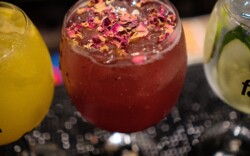 Bebidas