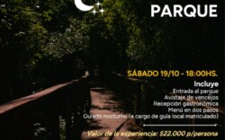 Misiones