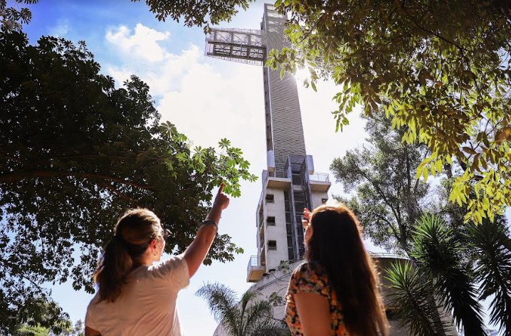 Misiones - Cruz de Santa Ana