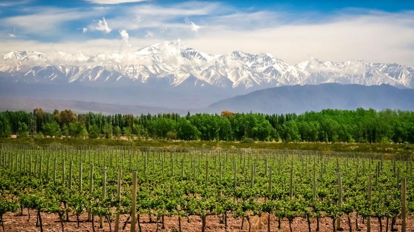 Mendoza