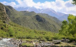 Mendoza