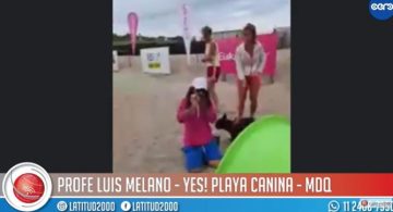 Mar del Plata | YES! Prohibido entrar a la playa sin mascota"