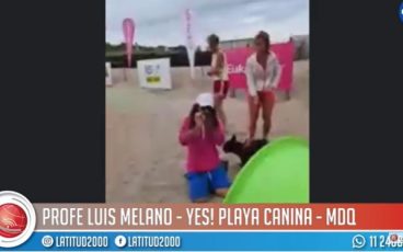 Mar del Plata | YES! Prohibido entrar a la playa sin mascota"