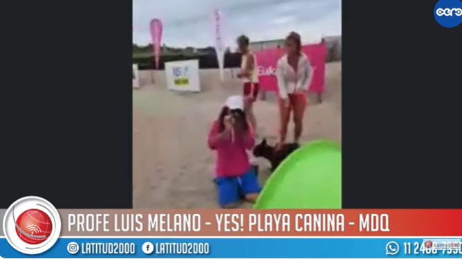 Mar del Plata | YES! Prohibido entrar a la playa sin mascota"