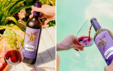 Bodegas y Vinos