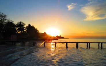 Belice