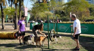 Dia del animal