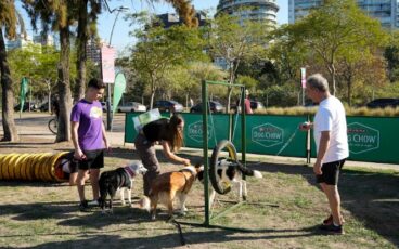 Dia del animal