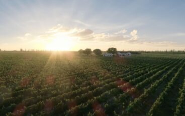 Malbec