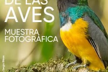 Misiones