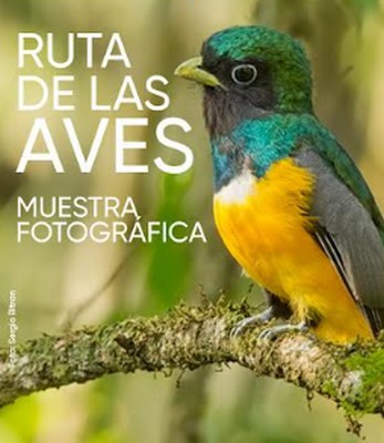 Misiones