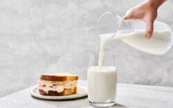 Día de la Leche