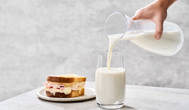 Día de la Leche