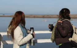 Tres Arroyos