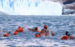 winter swimming world cup argentina 2025