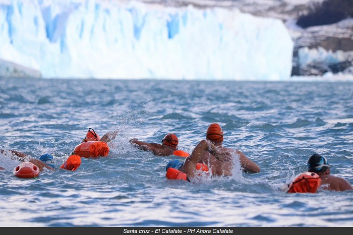 winter swimming world cup argentina 2025