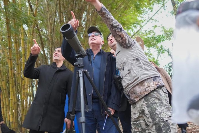 Avistaje de aves Misiones