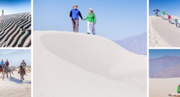 Salta Cafayate