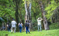 Misiones