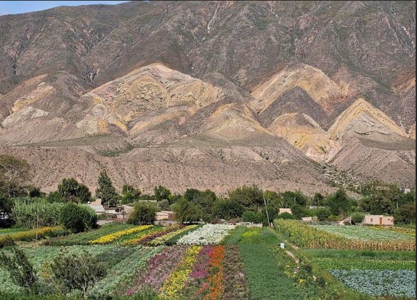 Jujuy - Maimará