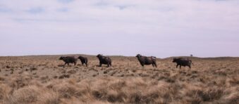 La Pampa