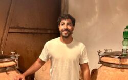 Innovación en vitivinicultura