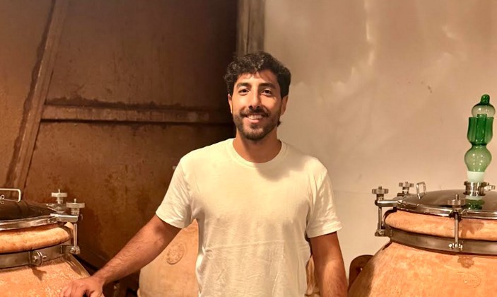 Innovación en vitivinicultura