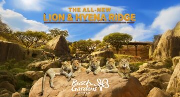 Busch Gardens Tampa Bay