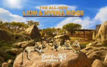 Busch Gardens Tampa Bay