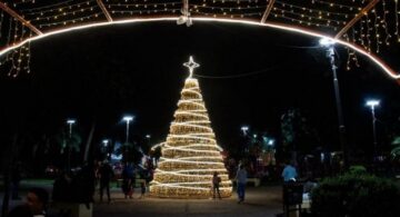 Encendido árbol navideño Tucumán