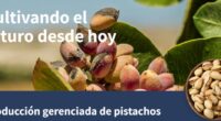 Día del Pistacho