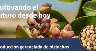 Día del Pistacho