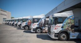 Proceres argentinos en las rutas