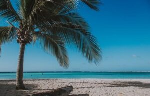 Aruba