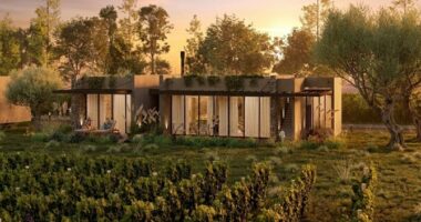 Wyndham Hotels - Mendoza - Roca Winery San Rafael