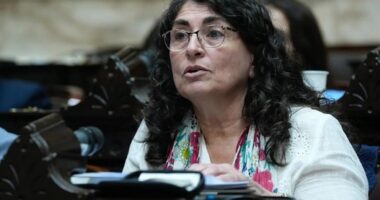 Diputada Nacional Ana María Ianni