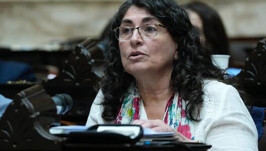 Diputada Nacional Ana María Ianni