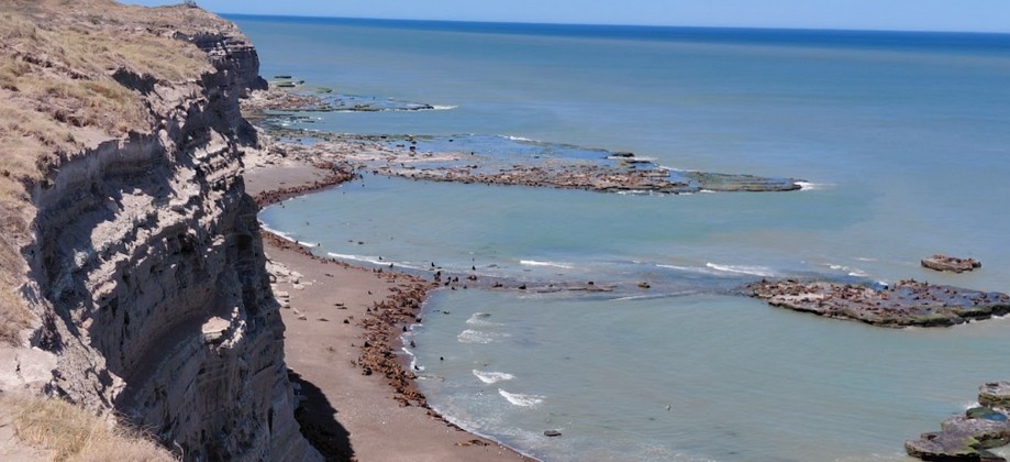 Rio Negro - Lobos marinos