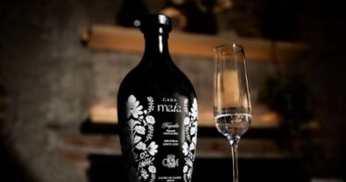 Tequila Casa Maia