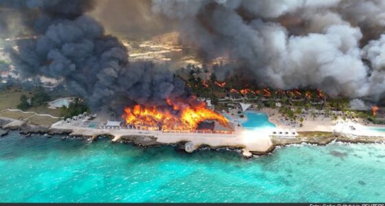 Viva Wyndham Dominicus Beach Foto: Gojko Culibrk/via REUTERS