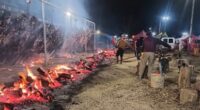 Asado