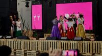 BERISSO - 23° FIESTA PROVINCIAL DEL VINO DE LA COSTA