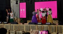 BERISSO - 23° FIESTA PROVINCIAL DEL VINO DE LA COSTA