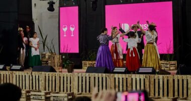 BERISSO - 23° FIESTA PROVINCIAL DEL VINO DE LA COSTA
