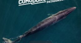 Turismo de Lujo en Patagonia