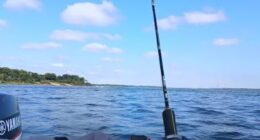 Pesca