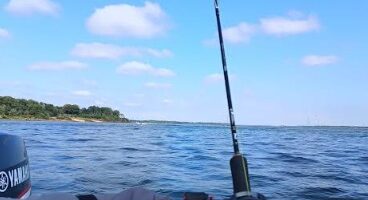 Pesca